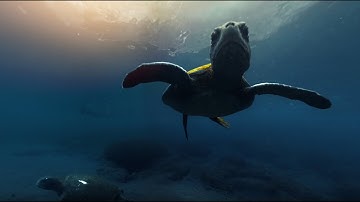 Galápagos 360°