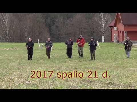 Tolimo ir tikslaus