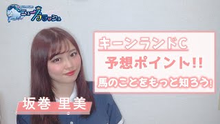 【キーンランドC】過去データを分析！好走のポイントを2つご紹介