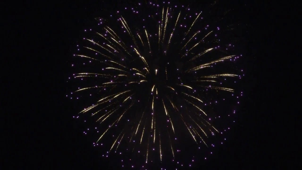 19年群馬の夏の夜空を彩る中毛 西毛地区のオススメ花火大会8選