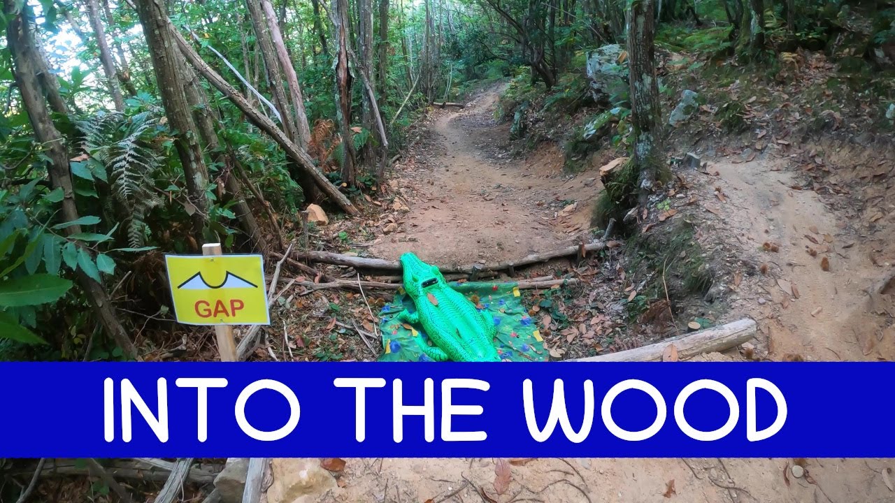 MTB Monti Pisani Vorno 14.10.2023 sentiero INTO THE WOOD