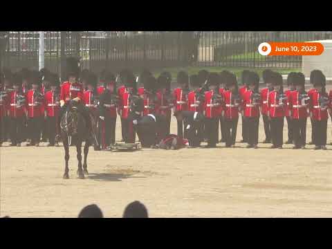 Royal guards collapse due to heat during rehearsal