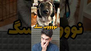 بهترین پلیر کهمشان🥶 #gaming #callofdutymobile #warzone #comedy