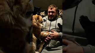 #нейросети #Veo #ai #юмор #коты #подъезд