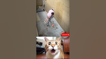 give this video title 😝 (warning answer) #cat #memes #dance #trending