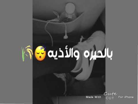 جعفر الغزال ما خسرتك أبدا