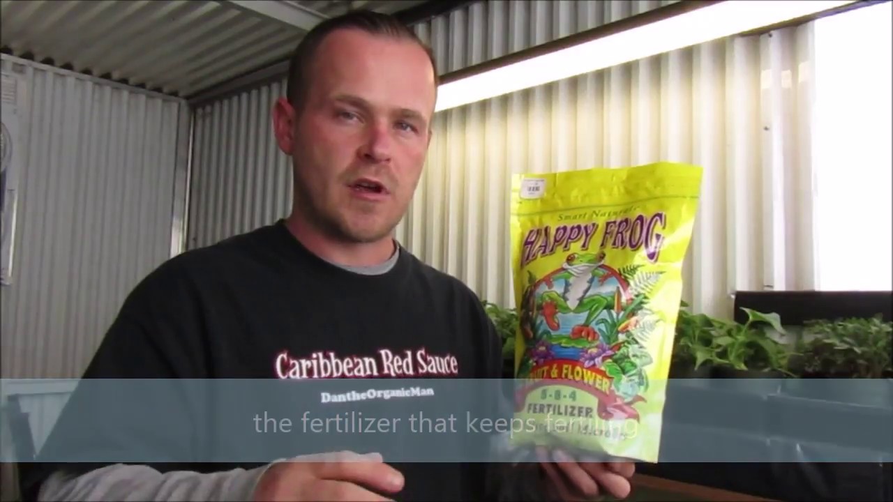 Plant Fertilizers 101 : Grow with Dan