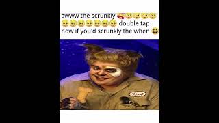 Shitpost Status #13