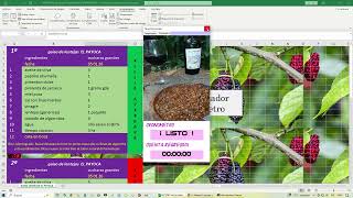 MACRO EXCEL DE COCINA 11