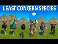 Least concern species speed races in planet zoo included peccary wildebeest cougar emu nyala