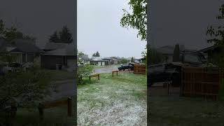 Still Snowing In Fort Mcmurray Alberta Canada June 7 2024