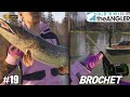 Call of the wild the angler gameplay 19  la pche du brochet en lac 2022