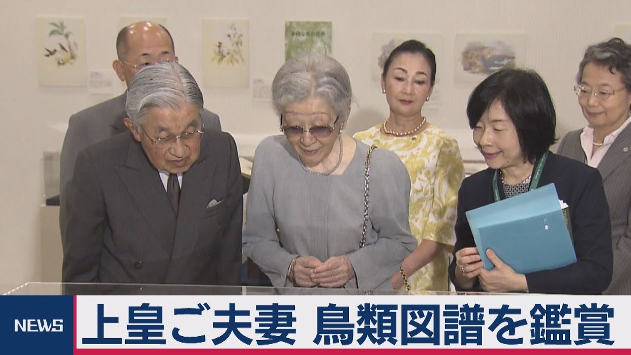 黒田清子の動画 画像 動画検索 マイルドサイト
