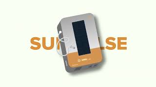 SunPulse Branding Video | GROUP 3