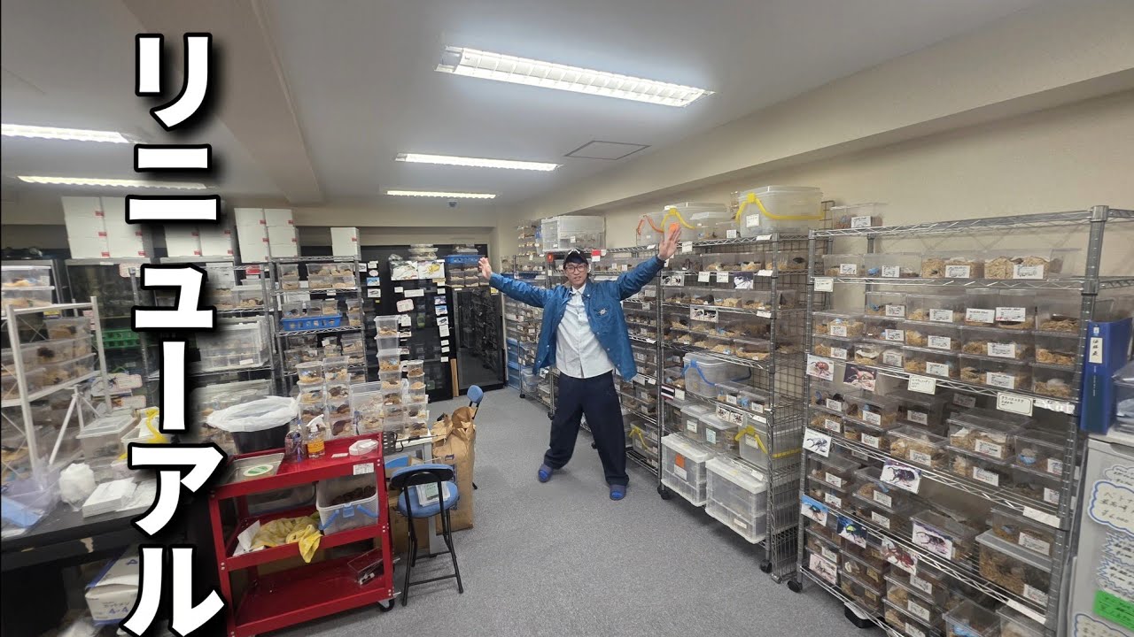 浅草の高級昆虫ショップがリニューアルしたので侵入しました