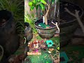 #Beautiful garden on Diwali #Good Morning #trending #viral #shortfeed 🕉️🕉️🌸🌸🌺🌺🪔🪔🙂🙂❤️❤️