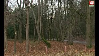 Тропы. Пышки. 24.10.2017