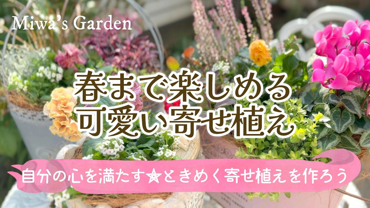 【ガーデニング🌺フリルパンジーでワクワクする寄せ植えを作ろう♪】春まで次々と花を咲かせてくれる・心躍る冬の寄せ植え/おしゃれな庭づくり