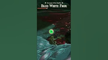 Lore Accurate Link vs Frox