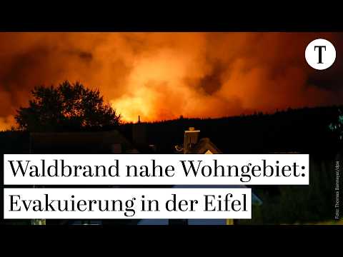 Feuer an der Grenze: Regen bremst Waldbrand im Hohen Venn