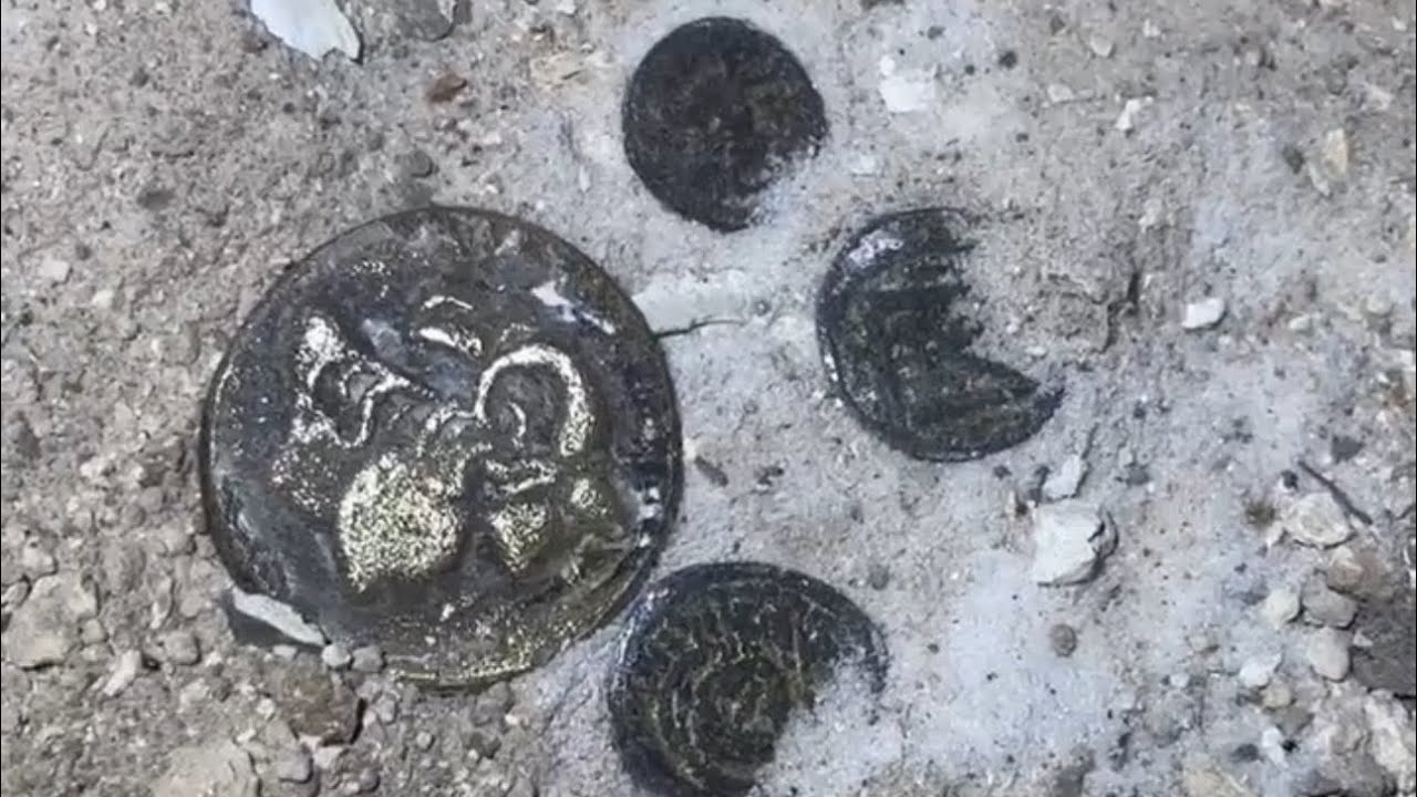 الزعيم يسحب المال من باطن الارض امام المشاهديين