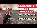 Carnet de Moto  Pedrito se Examina