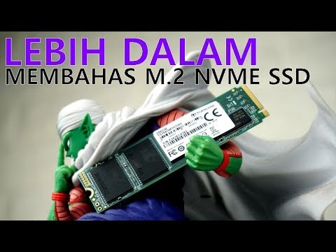 Mengenal Lebih Dekat SSD M.2 NVME Feat. Transcend MTE220S 256GB