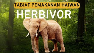 Tabiat Pemakanan Haiwan ( Part 1 Herbivor)