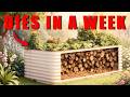 Why Raised Bed Corners Kill Your Plants First (And The Simple Fix Most Gardeners Never Try)