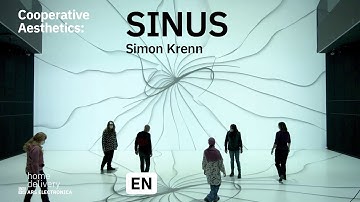 Cooperative Aesthetics: Sinus