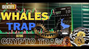 Identify Whales Trap In Crypto Market| How To Track Crypto Whales