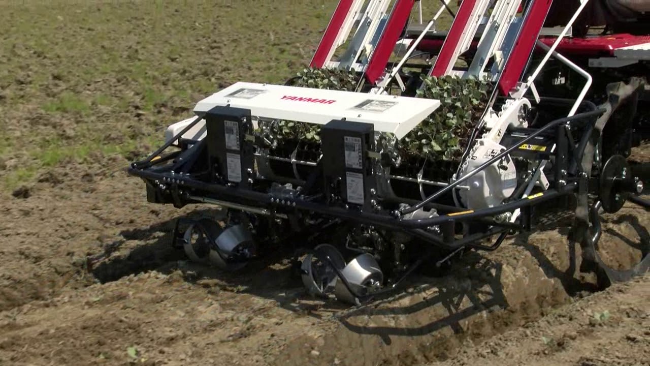 ヤンマー ナプラ 　PA10N ネギ移植機 ヤンマー ナプラ PA10N ネギ移植機