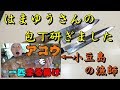 最近噂のyoutuberから包丁が送られてきた。大胆で豪快で愉快な彼に全力で応えてみようと思う【包丁研ぎ】【刃の黒幕】Knife sharpening