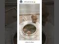 पड़ोस के बाथरू में पार्ट-1 ||🐒|| #trending #yts #funny #viral #bandar #money #memes #viral