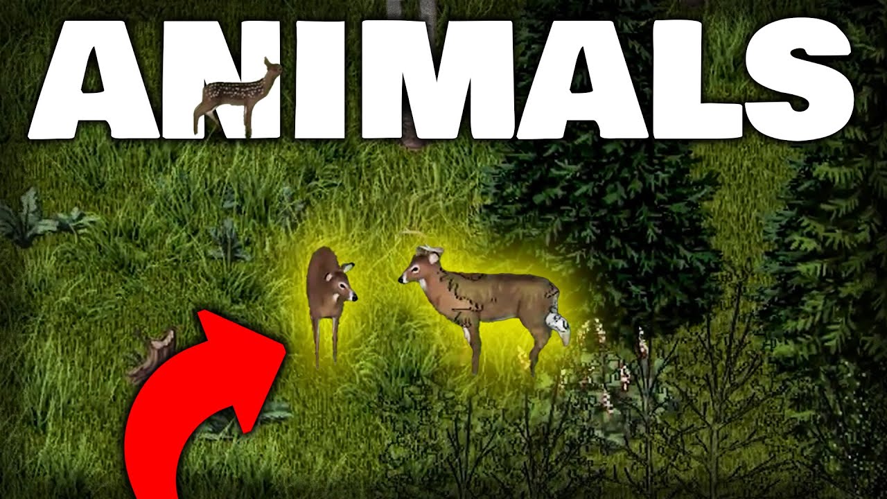 Project Zomboid Reveals New Grass, Fence Changes, READABLE Newspapers