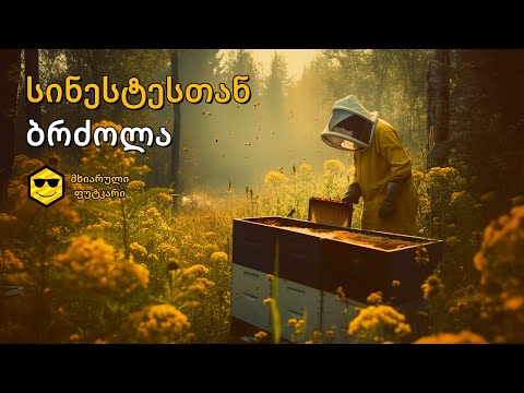 სინესტესთან ბრძოლა და თაფლი საჩუქრად