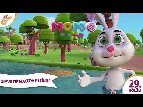 Akıllı Tavşan Momo _29_  Şıp Ve Tıp Macera Peşinde  Çizgi filim animasyon