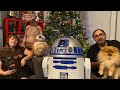 Favorite Christmas Ornaments 2019: Star Wars, Harry Potter & More