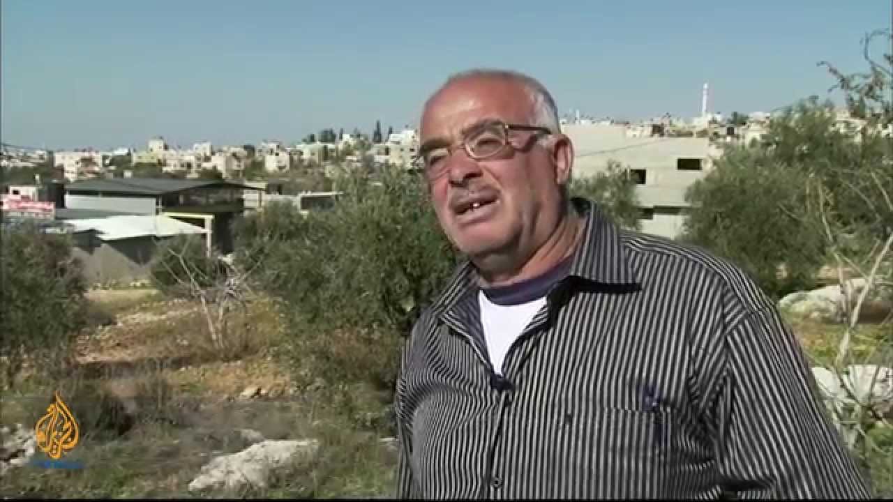 ريمكس فلسطين - تدمير أشجار الزيتون