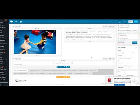 editor.webm