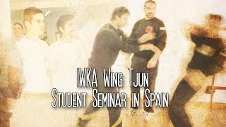 Internal Wing Chun (IWKA Wing Tjun) Student Seminar in Spain