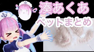 α3 ホロライブ 不思議の国のアリス&ねこ 湊あくあ スリーブ