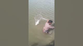 ময়মনসিংহ তারাকান্দা চৌধুরী এগ্রো ফার্মে ২৫০০০ টাকা টিকিটে  মাছ ধরা ভিডিও #fishing