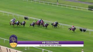 BC Turf Sprint Preview
