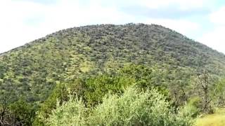1529 E Sagebrush St video tour