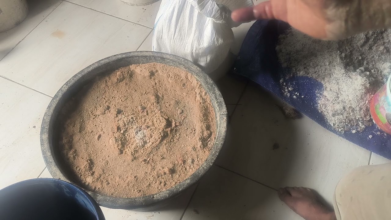 Fermentasi ampas kelapa 