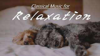 [NO ADS, 2 HOURS] Classical Music for Relaxation | Beethoven, Mozart, Bach, Tchaikovsky, Vivaldi… screenshot 5