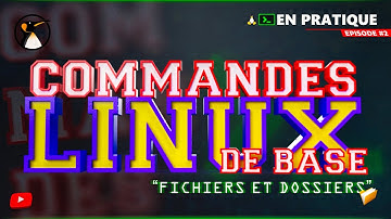 Commandes Linux de Base - Chapitre 2 : Fichiers et Dossiers