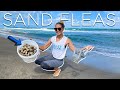 Sand CRABS on the Beach & Metal Detecting Finding DIAMONDS!