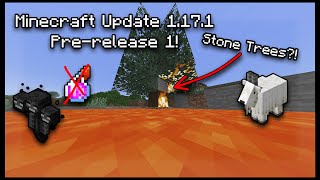 Minecraft 1.17.1 Pre-Release 1 Update! (Under 1 Minute!) ⛏️